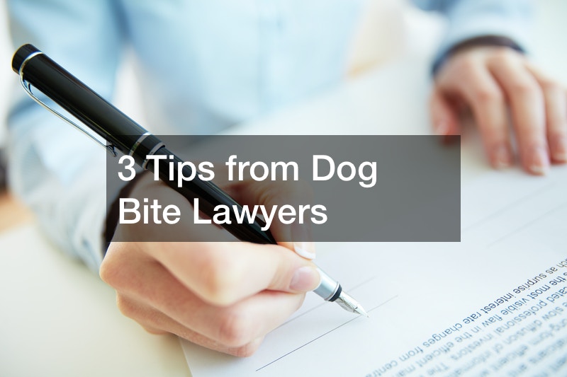 3 Tips from Dog Bite Lawyers