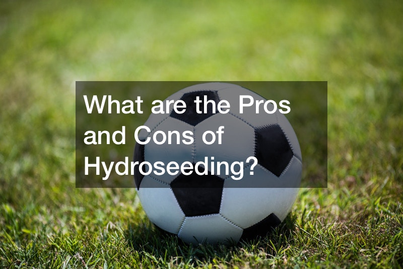 What are the Pros and Cons of Hydroseeding?