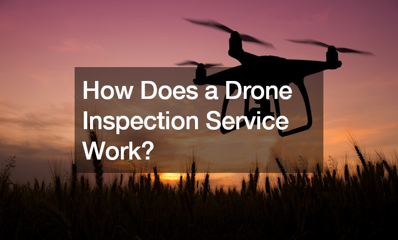 How Does a Drone Inspection Service Work?