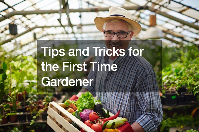 Tips and Tricks for the First Time Gardener